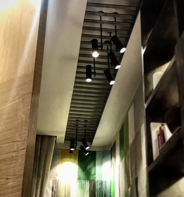 Spot Cavia - Imagen 11