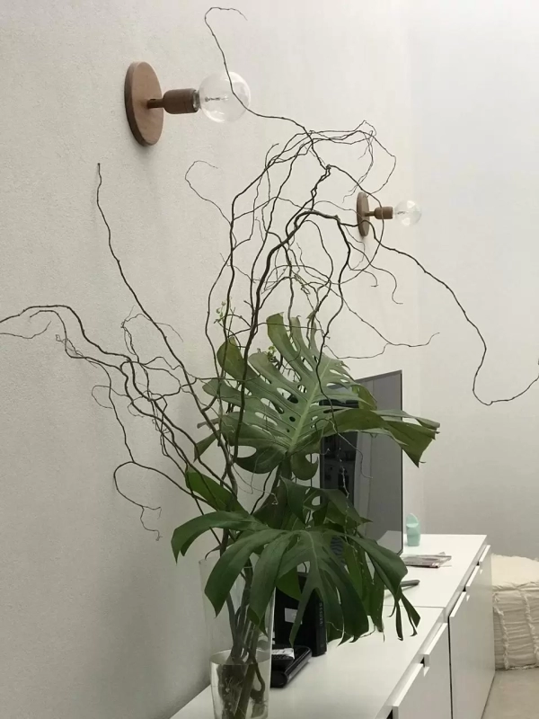 Aplique Vella - Imagen 3