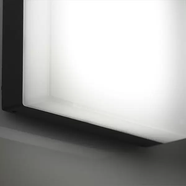 Aplique Toicho Aplique Toicho - Imagen 4