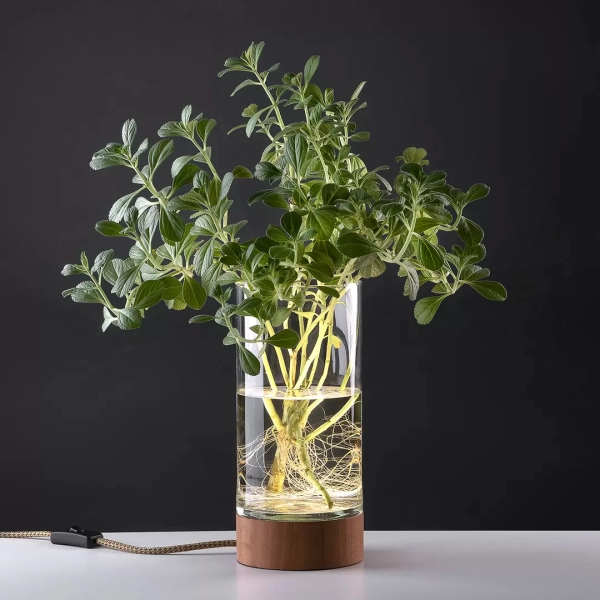 Lámpara de mesa Verne. Luminaria de estilo nórdico, fabricada en madera torneada de cedro natural y vidrio, con LED cálido integrado.
