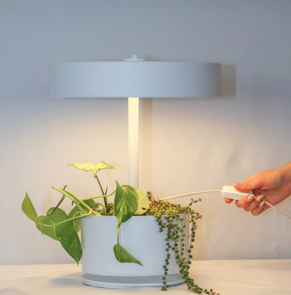 Lampara de Mesa Botanica - Imagen 7