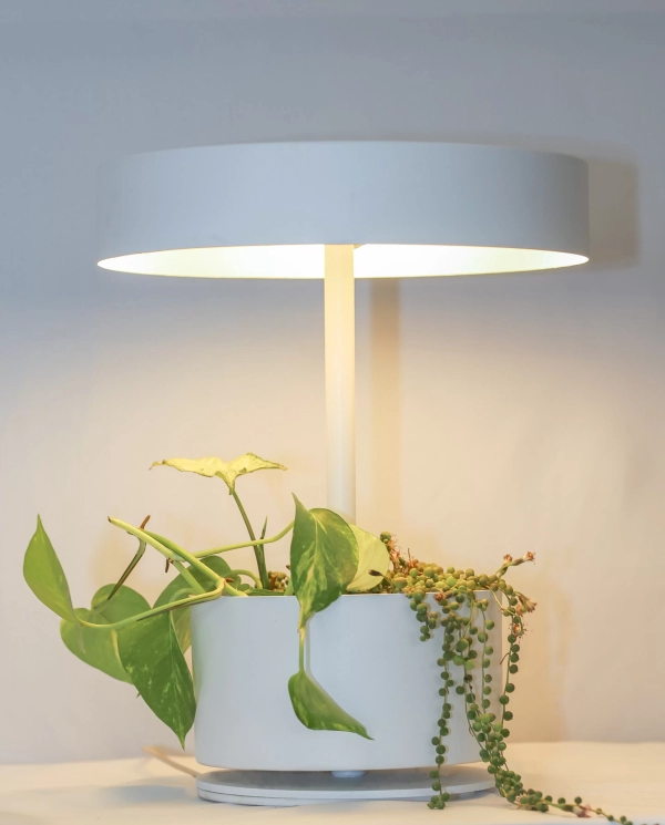 Lampara de Mesa Botanica - Imagen 8