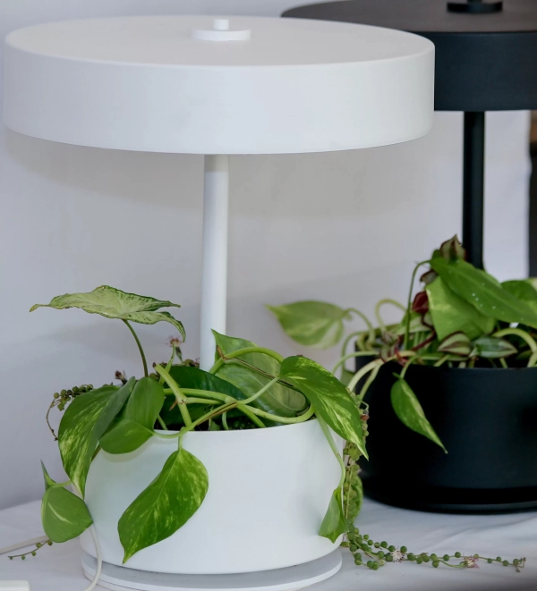 Lampara de Mesa Botanica - Imagen 9