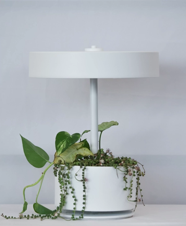 Lampara de Mesa Botanica - Imagen 6