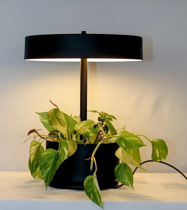 Lampara de Mesa Botanica - Imagen 4