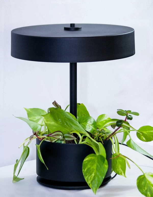 Lampara de Mesa Botanica - Imagen 2