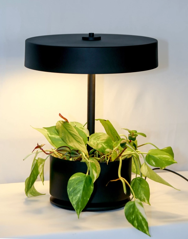 Lampara de Mesa Botanica - Imagen 3