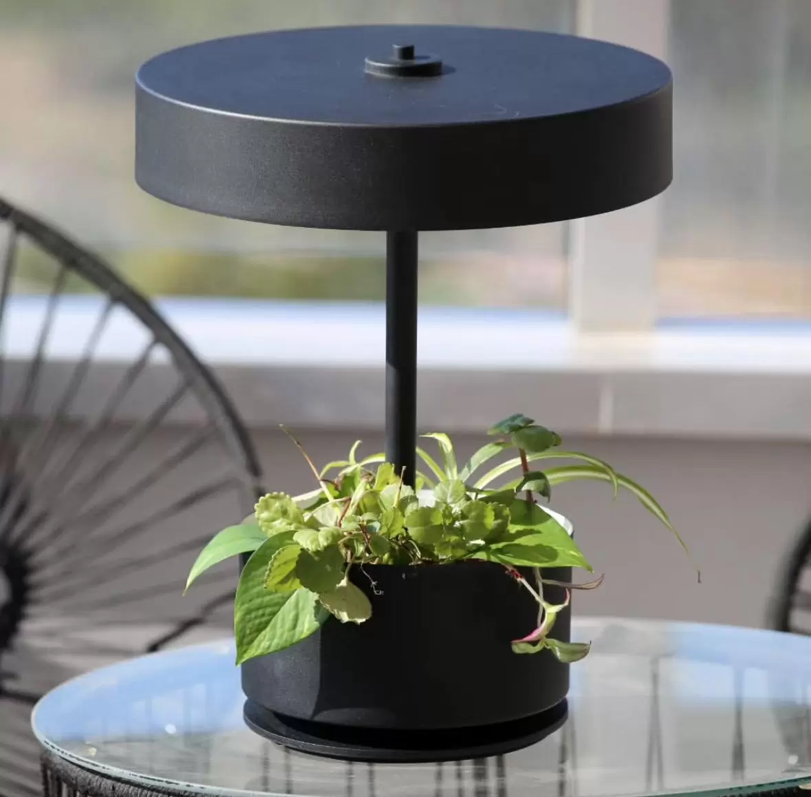Lampara de Mesa Botanica