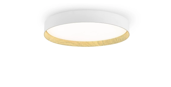Plafon Caramel - Imagen 2
