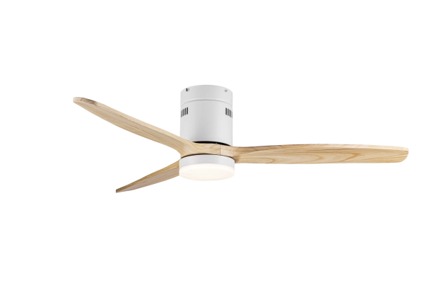 Ventilador de techo 301